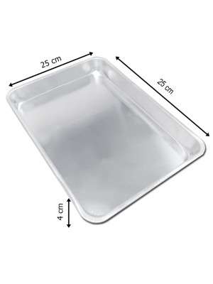 25x25x4 cm 100 gr Kullan At Tepsi